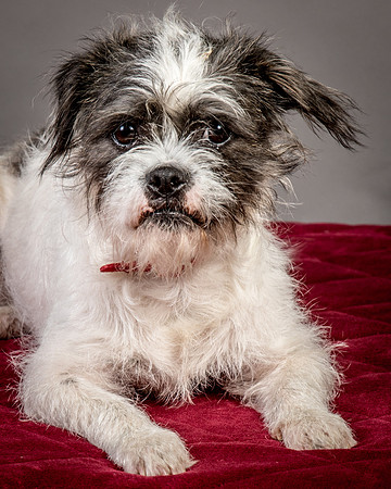 Foster Leeza-2688