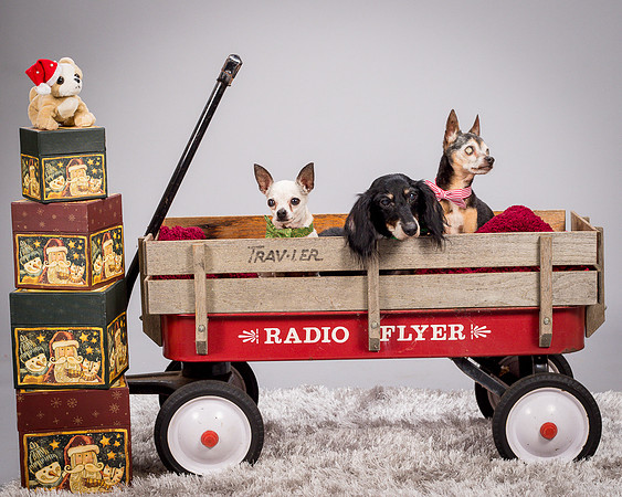 Foster Hospice Gang-3855