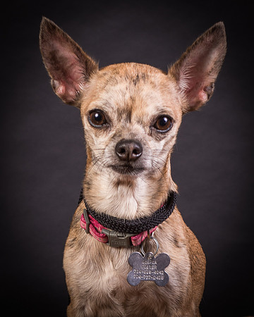 Foster Selina-1264