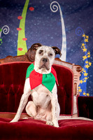 Foster Sylvester-0946