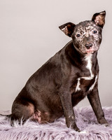 Foster Kendal-8752