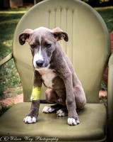 Hugo-3656
