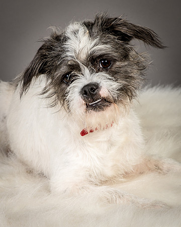 Foster Leeza-2578