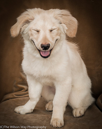 Foster Stephanie-9625