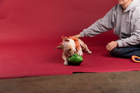Calendar Bloopers-9092
