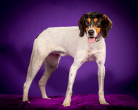 Foster Goofy-0947