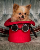 Foster Horace-0791