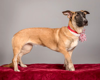 Foster Gabby-3981