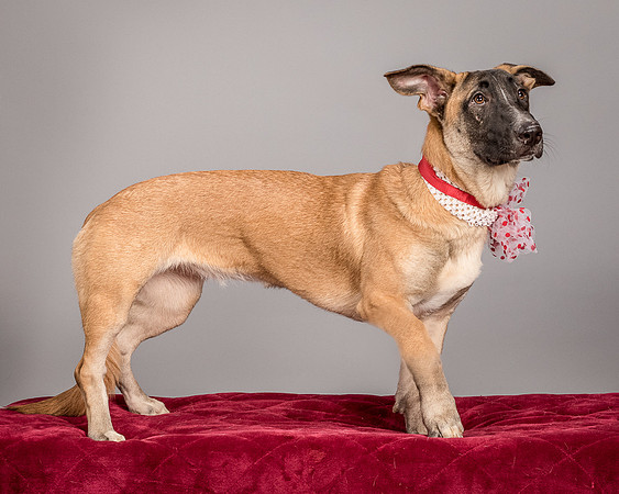 Foster Gabby-3981