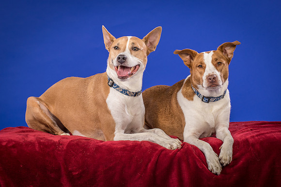 Urschel-Ethel and Ruby-9727