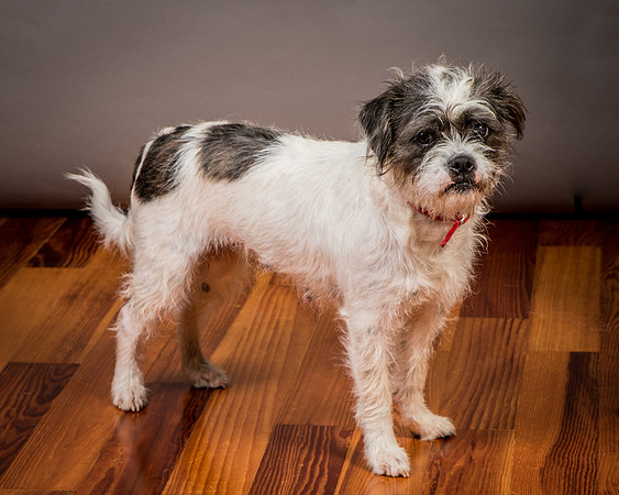 Foster Leeza-2818