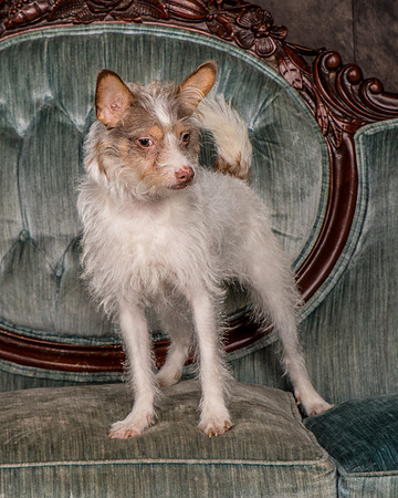 Foster Reagan-4844