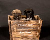 Fosters Pebbles and Gazoo-1692