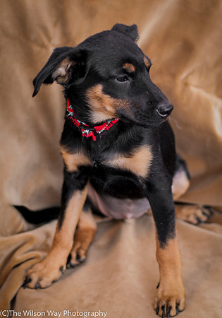 Foster Holister-9683