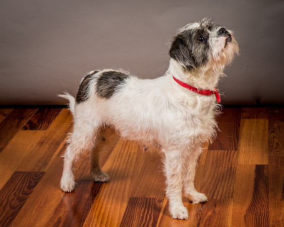 Foster Leeza-2816