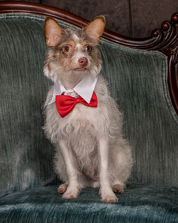 Foster Reagan-4919