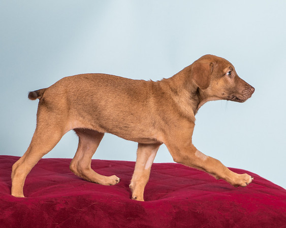 Foster Bronwyn-8397