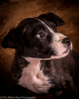 Foster Bennett-6305