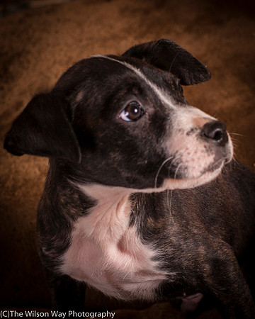 Foster Bennett-6305