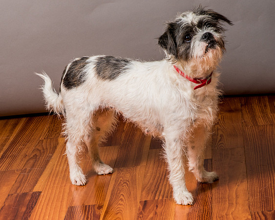 Foster Leeza-2842