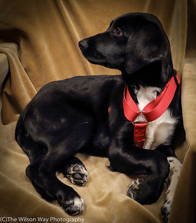 Foster Carolina-0861