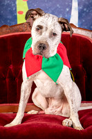 Foster Sylvester-0949