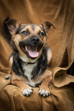 Foster Calvin-0859