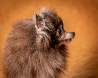 Foster Loretta-1259