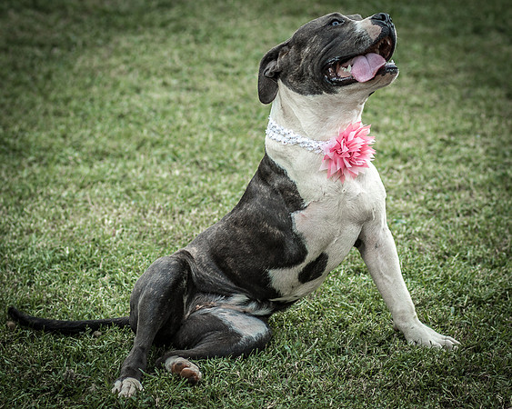 Foster Maya-0315