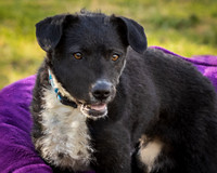 Foster Maynard-9143