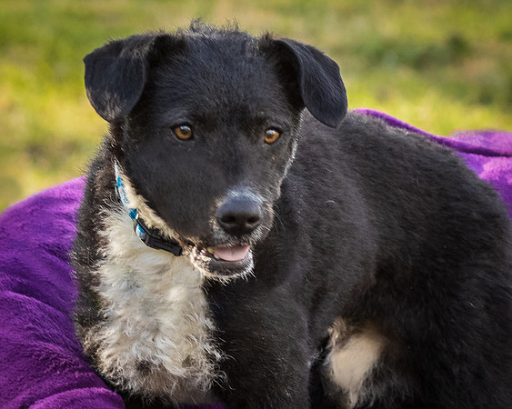 Foster Maynard-9143