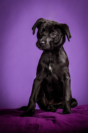 Buddy Kline-0917