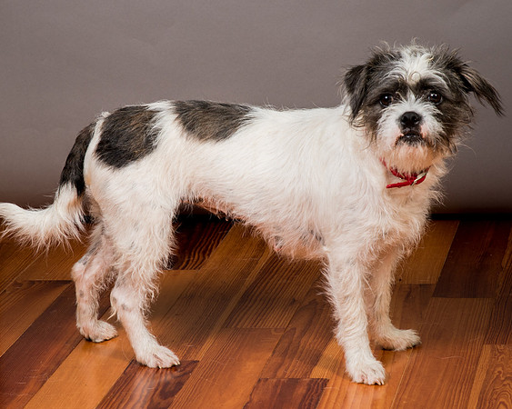Foster Leeza-2874