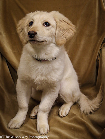 Foster Stephanie-0371
