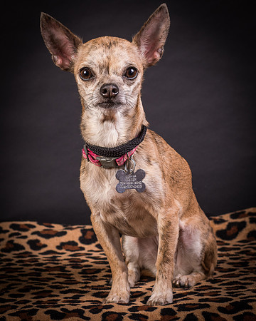 Foster Selina-1257