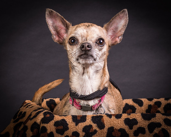 Foster Selina-1163