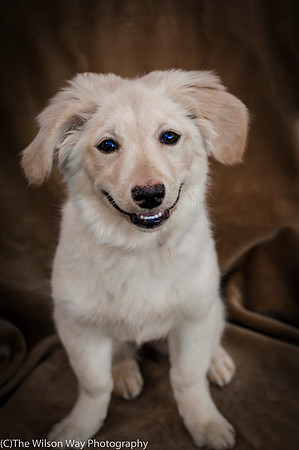 Foster Stephanie-9643