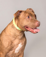 Foster Coco-2070