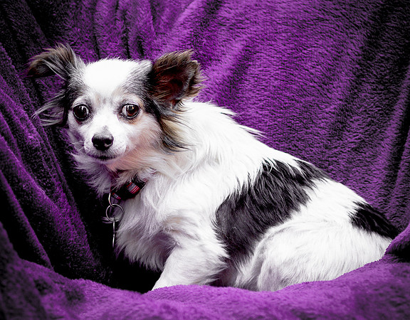 Foster Anouk-8809