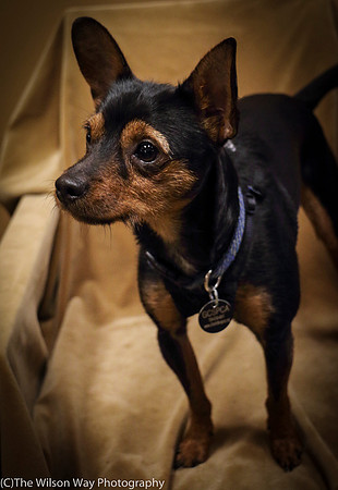 Foster Wall-e-0744