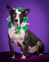 Foster Claire-4216