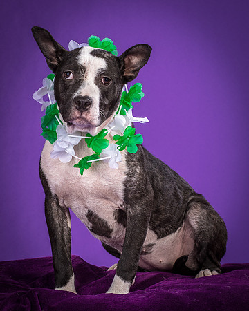 Foster Claire-4216