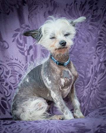 Foster Freckles-5405