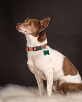 Foster Gus-0301