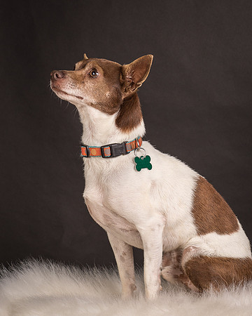 Foster Gus-0301