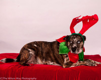 Nina Hanlon-3665