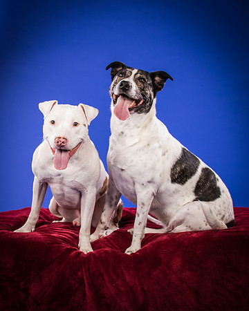 Bruns-Melo and Gracie-3056