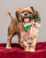 Foster Toffee-4610