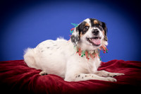 Tarby-Charlie-4407