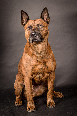 Foster Beans-2201